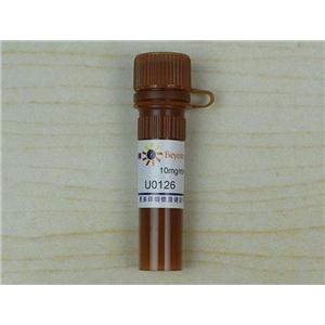 U0126 (MEK1/2抑制剂)