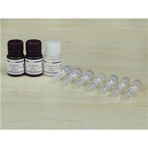 TUNEL细胞凋亡检测试剂盒(显色法)