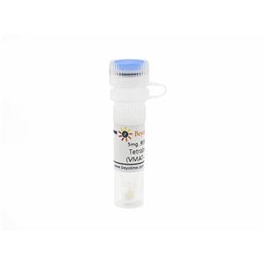 Tetrabenazine (VMAT-2抑制剂)