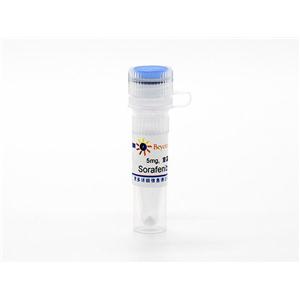 Sorafenib (Raf抑制剂)