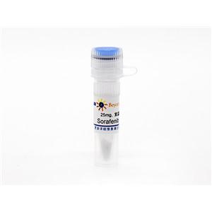 Sorafenib (Raf抑制剂)