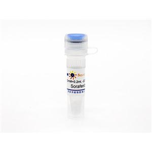 Sorafenib (Raf抑制剂)