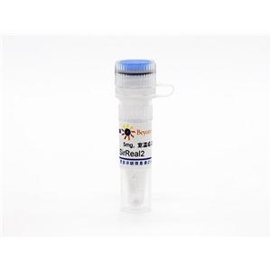 SirReal2 (SIRT2抑制剂)