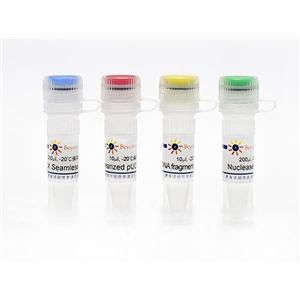 Seamless Cloning Kit (无缝克隆试剂盒)