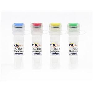 Seamless Cloning Kit (无缝克隆试剂盒)