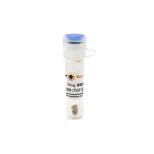 SD208 (TGF-β/Smad抑制剂)