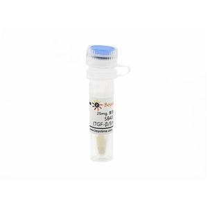 SB431542 (TGF-β/Smad抑制剂)