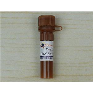 SB203580 (p38 MAPK抑制剂)