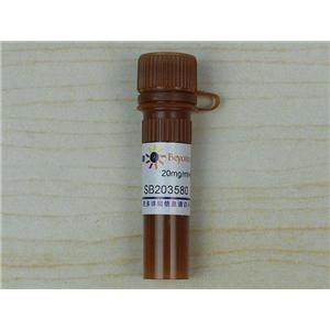 SB203580 (p38 MAPK抑制剂)