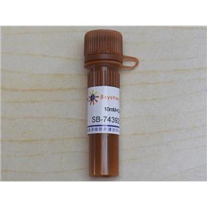 SB-743921 (KSP抑制剂)