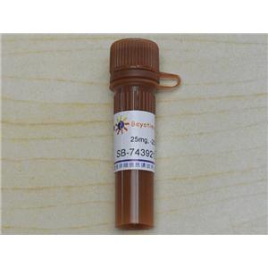 SB-743921 (KSP抑制剂)