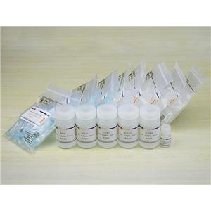 RNAeasy?动物RNA抽提试剂盒(离心柱式)