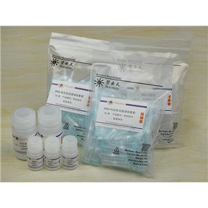 RNAeasy?动物小RNA抽提试剂盒(离心柱式)