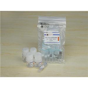 RNAeasy?动物RNA抽提试剂盒(离心柱式)