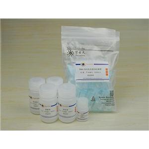 RNAeasy?动物RNA抽提试剂盒(离心柱式)