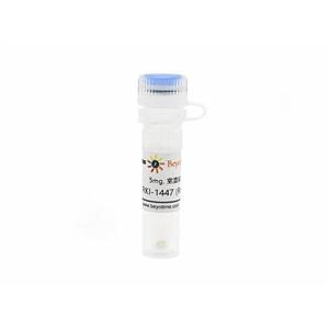 RKI-1447 (ROCK抑制剂)