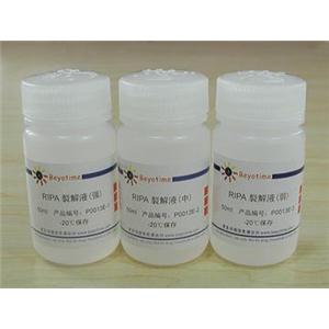 RIPA裂解液(强中弱套装)