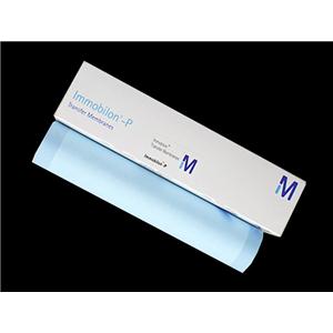 PVDF膜(进口原装, 26.5cm×3.75m/卷, 0.45μm)