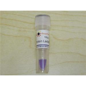 Protein Ladder (10-200kD, 非预染)