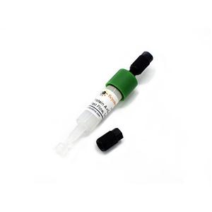 Protein A+G Agarose (Fast Flow, 1ml)预装柱