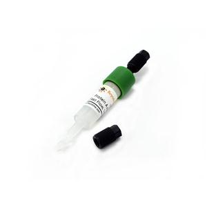 Protein A Agarose (Fast Flow, 1ml)预装柱