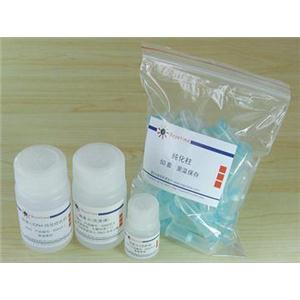 PCR纯化试剂盒/DNA纯化试剂盒