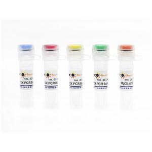 PCR Buffer套装(PCR优化用)