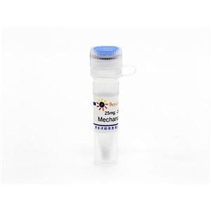 Mechano Growth Factor (机械生长因子)