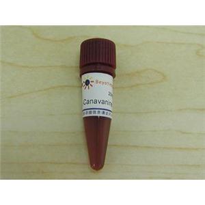 L-Canavanine (iNOS抑制剂)