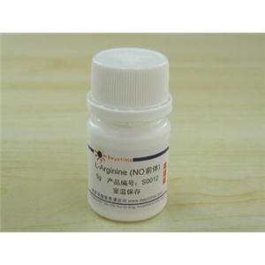 L-Arginine (NO前体)