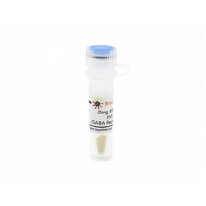 Indiplon (GABA Receptor调节剂)