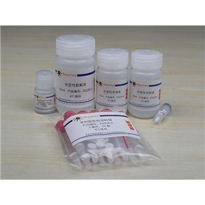 His标签蛋白纯化试剂盒