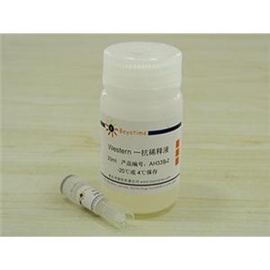 HIF-1α抗体(小鼠单抗)