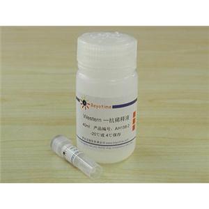 HA抗体(小鼠单抗)