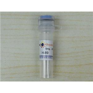 H-89 (PKA抑制剂)