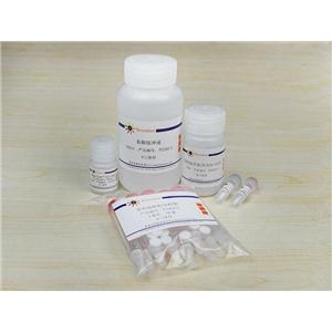 GST标签蛋白纯化试剂盒