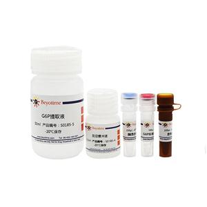 G6P检测试剂盒(WST-8法)