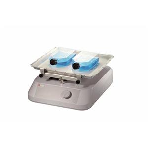 经济型翘板摇床(3kg)