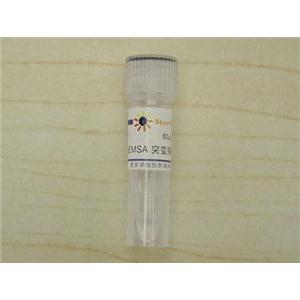 EMSA突变探针－β-Catenin/TCF (1.75μM)