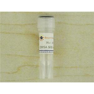 EMSA探针－按需制备(10μM)