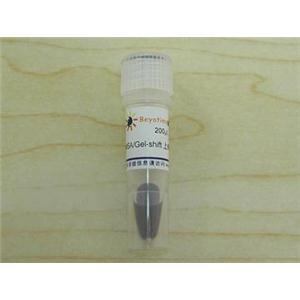 EMSA/Gel-Shift上样缓冲液(蓝色, 10X)