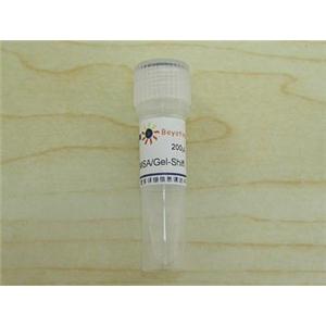 EMSA/Gel-Shift 上样缓冲液(无色, 10X)