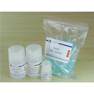 DNA凝胶回收试剂盒