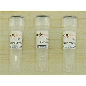 DNA末端平滑试剂盒