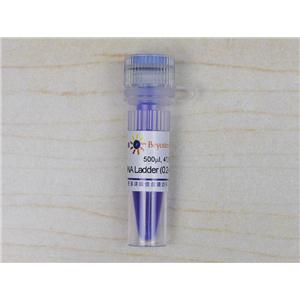 DNA Ladder (0.2-12 kb, 12 bands)