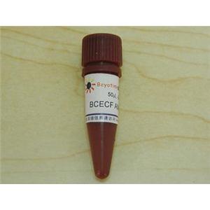 BCECF AM (pH荧光探针, 5mM)