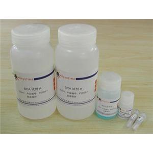 BCA蛋白浓度测定试剂盒(增强型)