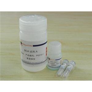 BCA蛋白浓度测定试剂盒(增强型)