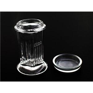 5片装载玻片染色缸