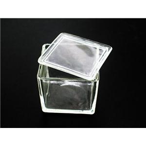 30片装载玻片染色缸